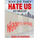 Why Do They Hate Us So Much?: Black Life In America by Michael Melancon