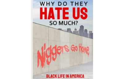 Why Do They Hate Us So Much?: Black Life In America by Michael Melancon